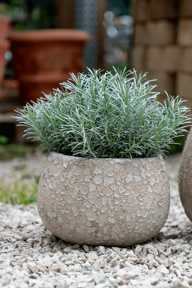 Cachepot Loto Bianco Rock