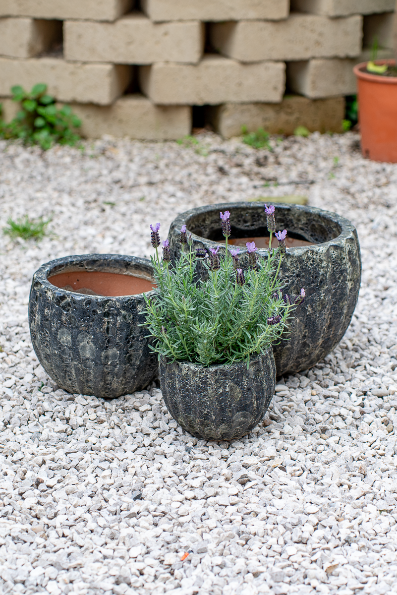 Cachepot Virgo Antracite