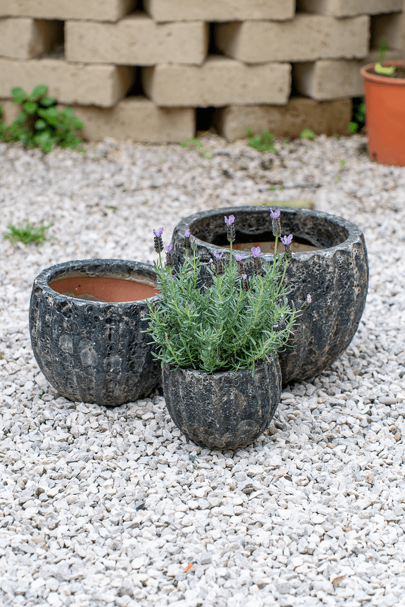 Cachepot Virgo Antracite