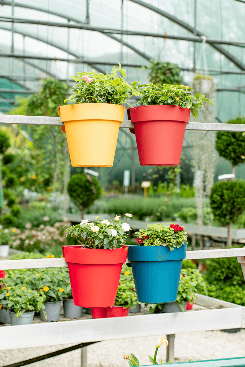 Vaso up singolo 25cm