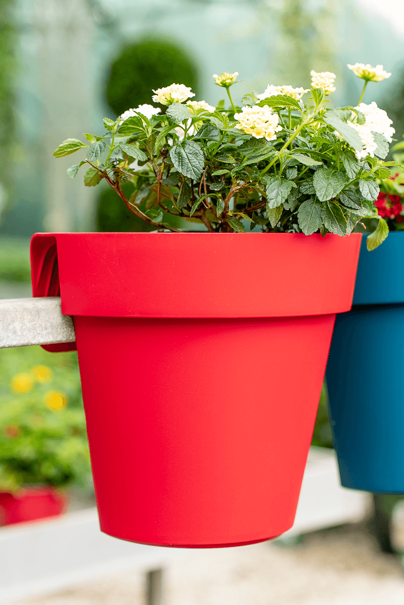 Vaso up singolo 25cm