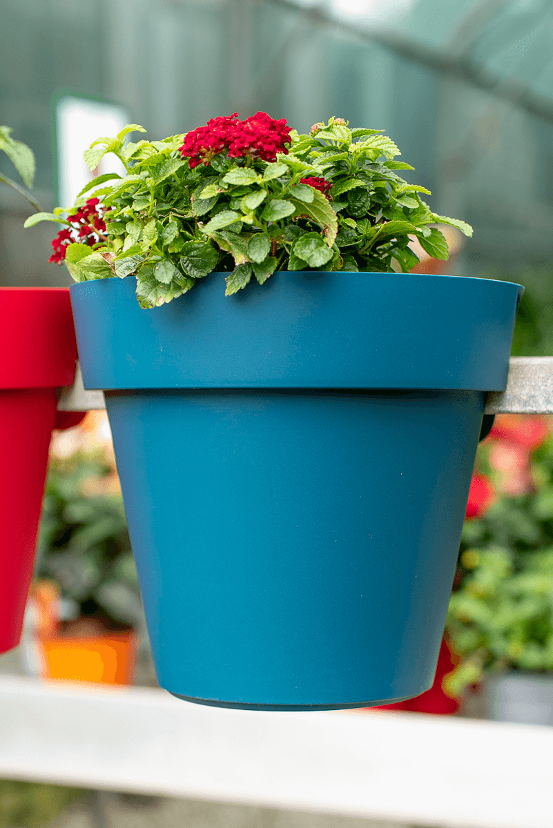 Vaso up singolo 25cm