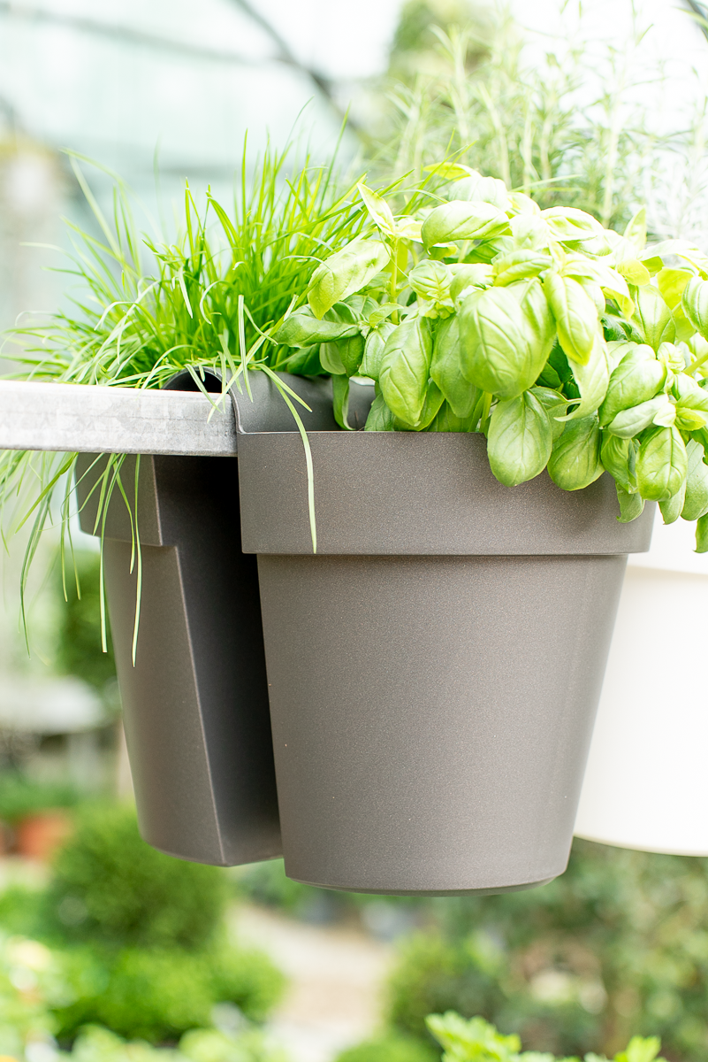 Vaso be up doppio 25cm