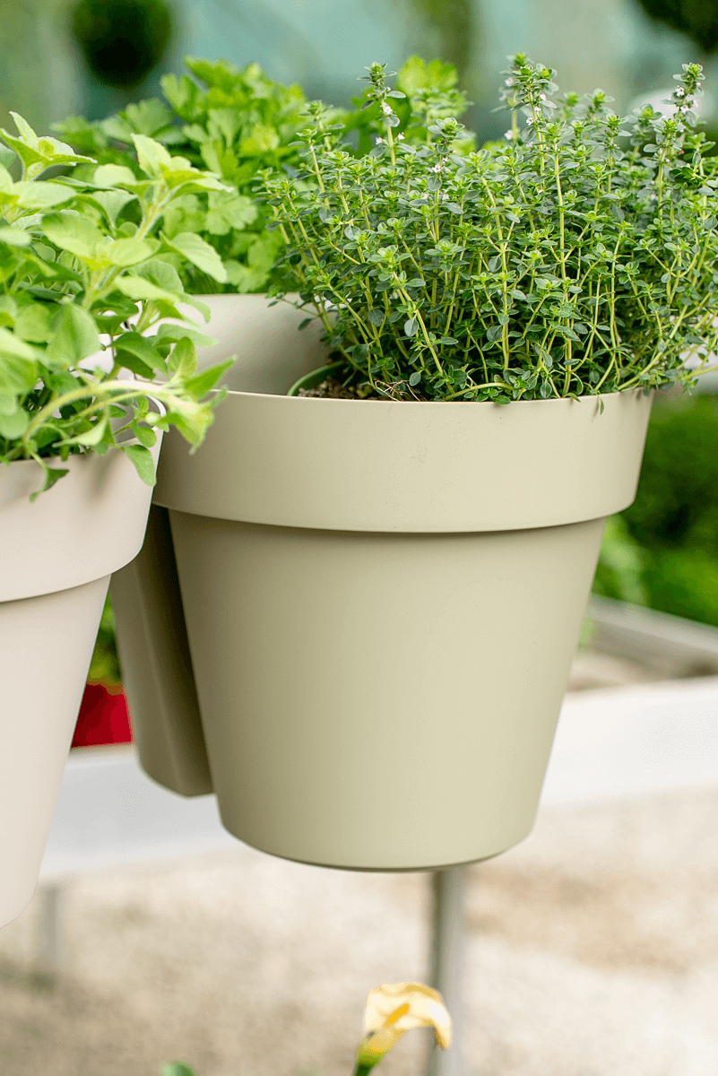 Vaso up singolo 25cm