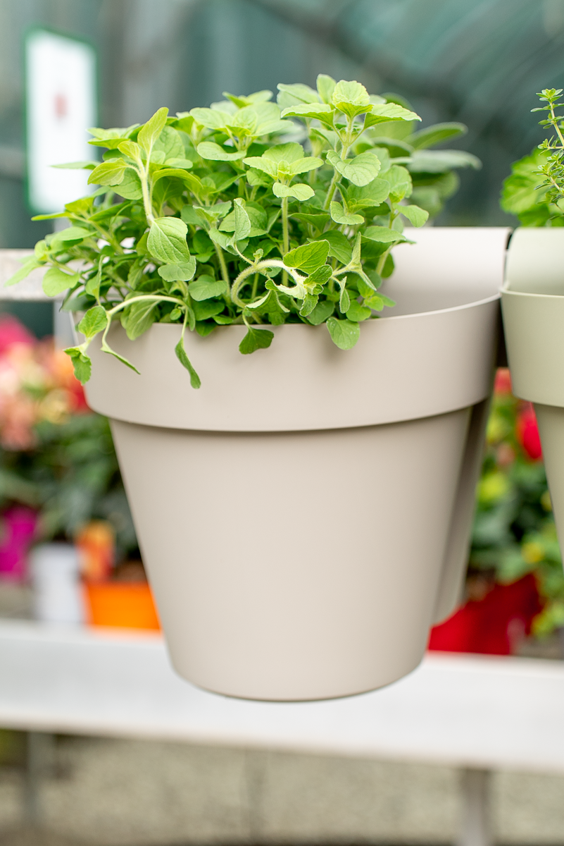 Vaso be up doppio 25cm