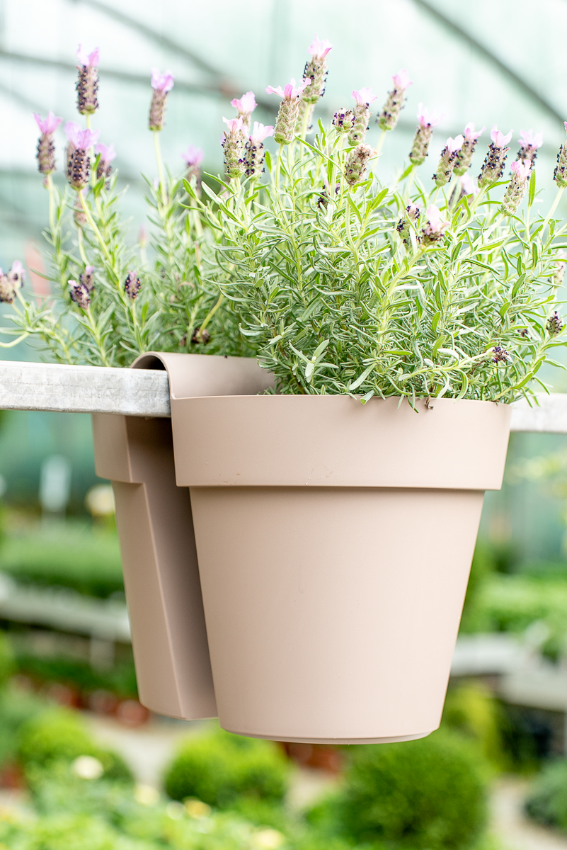 Vaso be up doppio 25cm