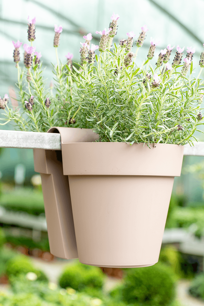 Vaso be up doppio 25cm