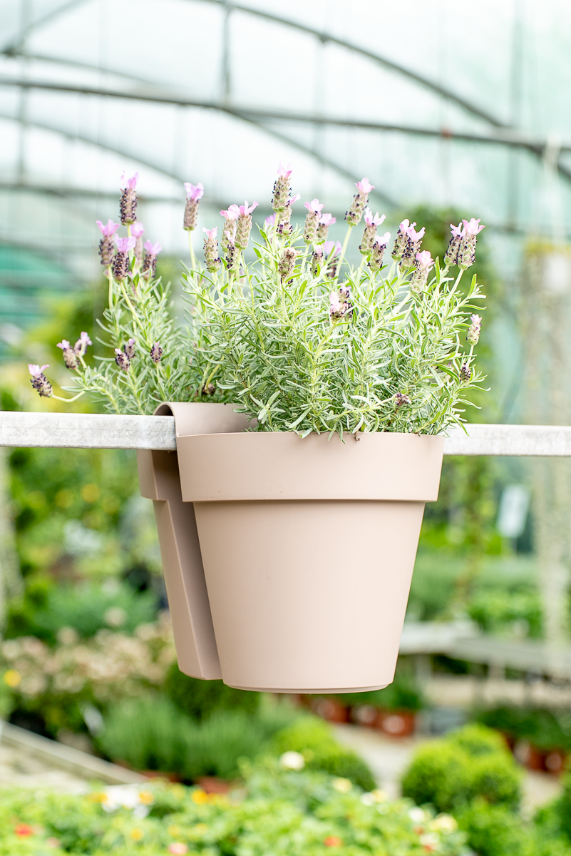 Vaso be up doppio 25cm