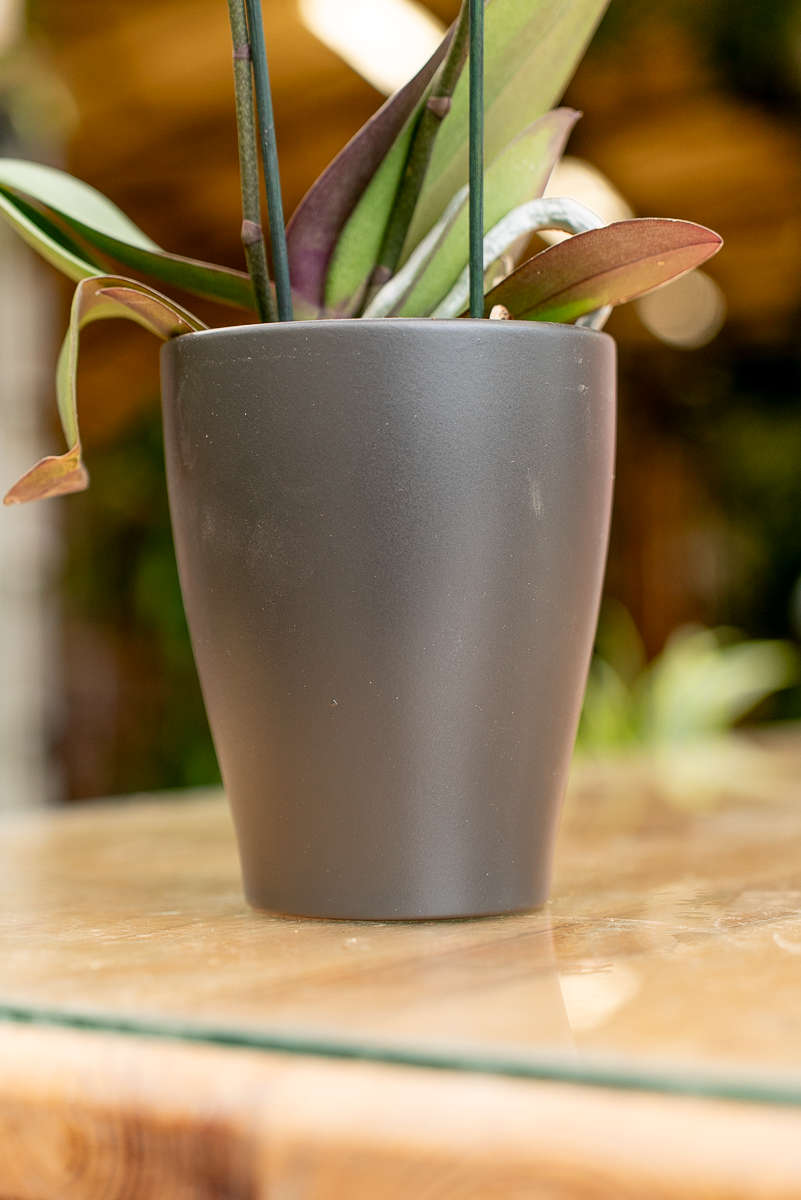 Coprivaso Orchidea Ceramica Moderno