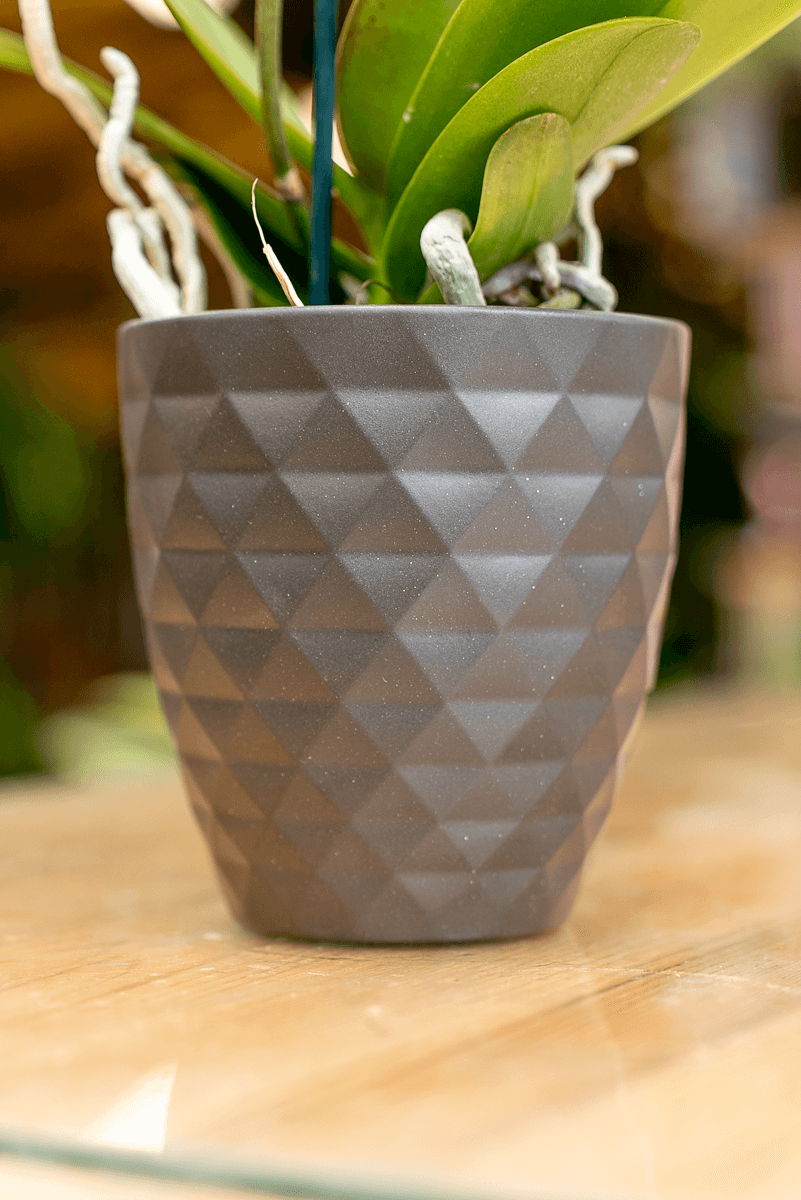 Coprivaso Orchidea Ceramica Sfaccettato