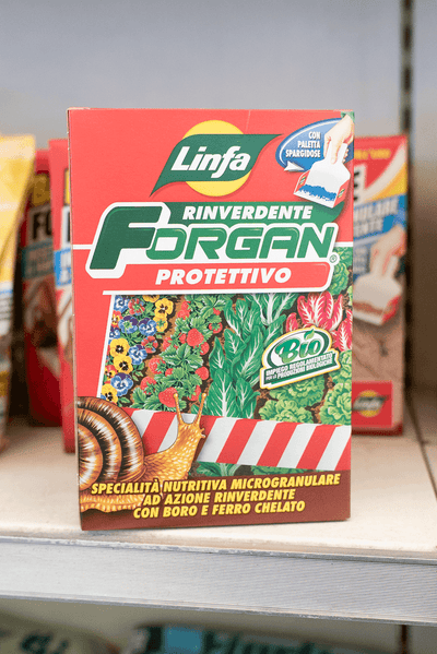 Concime Biologico Rinverdente Dissuasore per Lumache Lumachicida FORGAN 1 KG