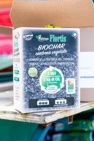 Carbone Vegetale Biochar