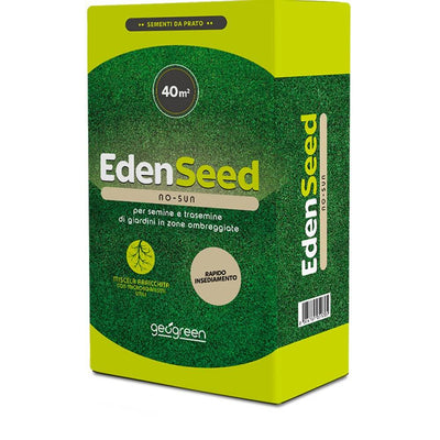 Sementi Per Tappeto Erboso Ombreggiato