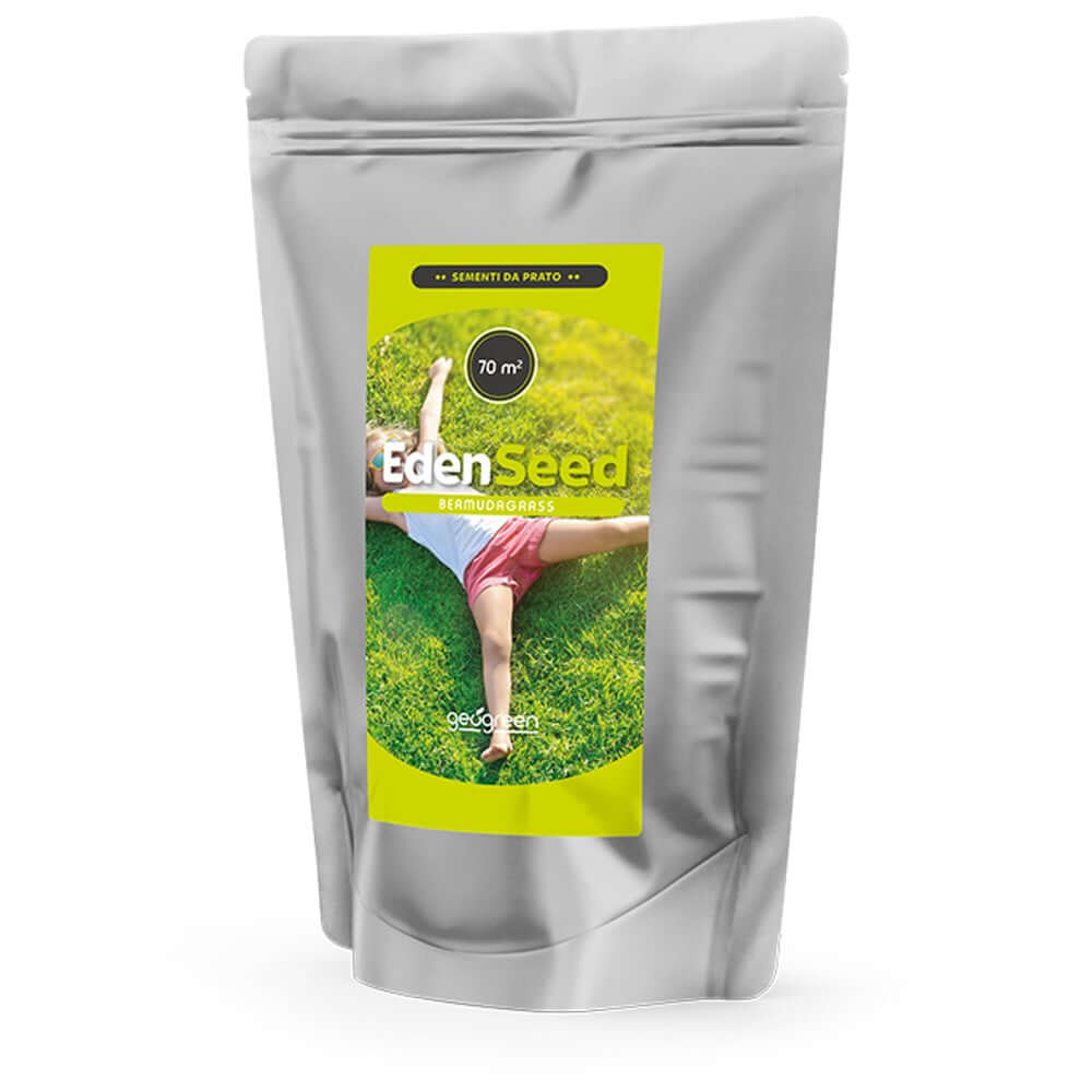 Sementi Per Prato Clima Caldo E Secco