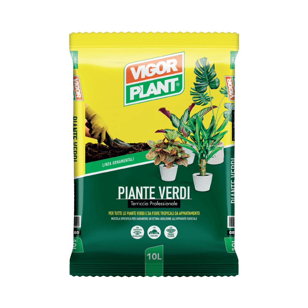 PIANTE VERDI - Terriccio Per Piante Da Appartamento