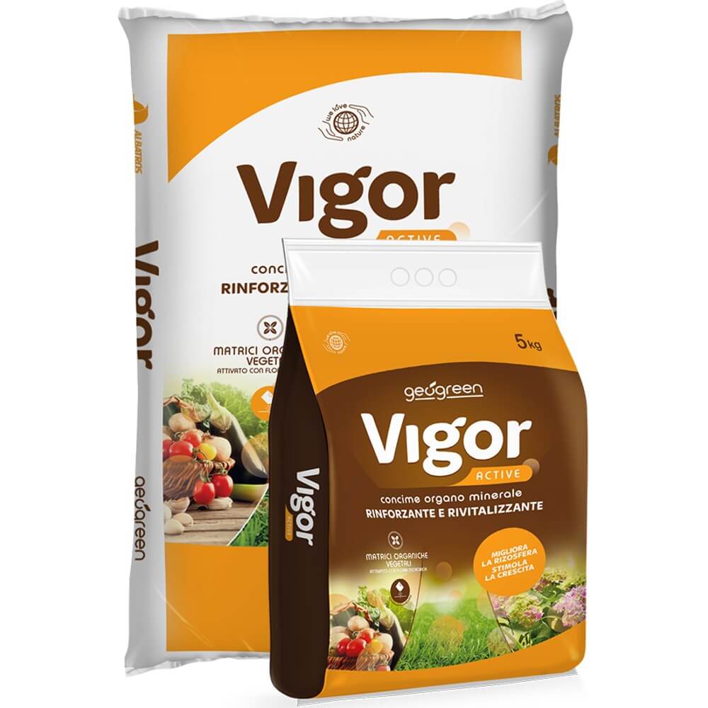 VIGOR ACTIVE - Fertilizzante Per Radici