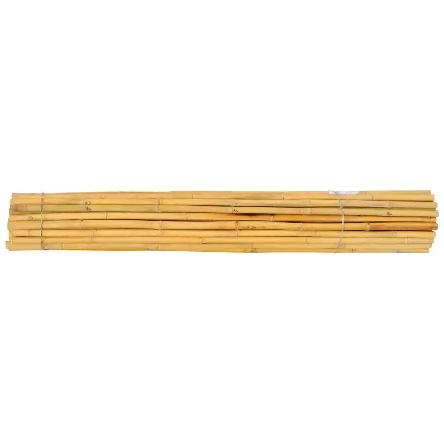Tutori Canna Bamboo