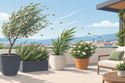 Piante resistenti al vento in terrazzo da scegliere
