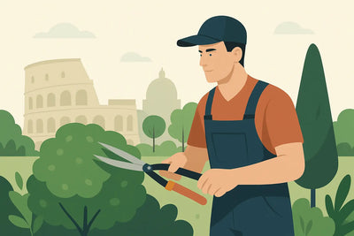 Servizi di giardinaggio a Roma: cosa vale davvero