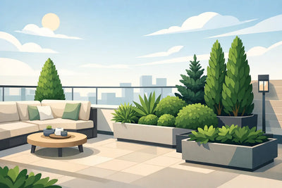 Esempio progetto terrazzo con piante sempreverdi