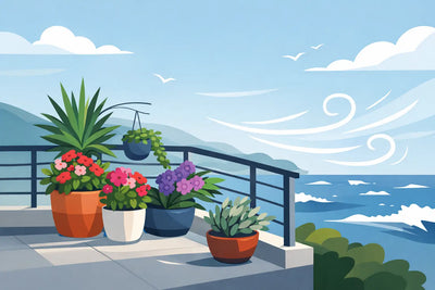 10 migliori piante da balcone per vento forte