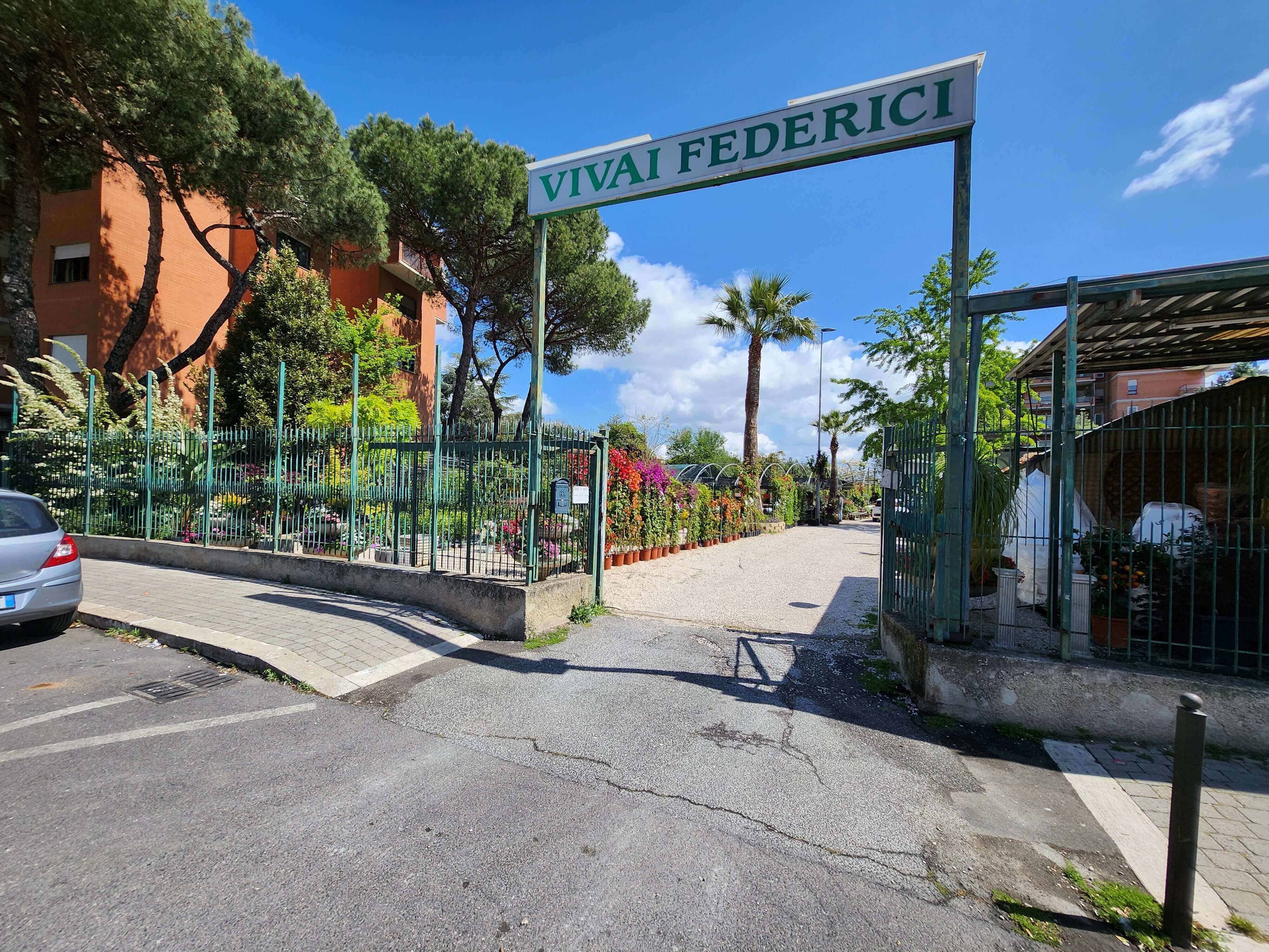 Vivaio Roma per scegliere piante senza errori