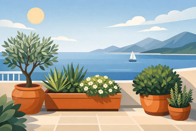 Piante mediterranee sempreverdi per terrazzo