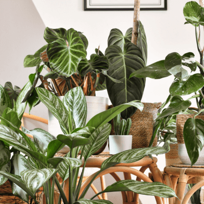 Best Sellers Interno
