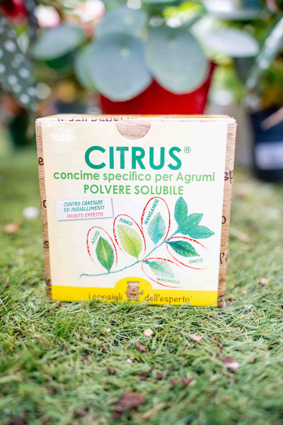 Concime Minerale Per Agrumi