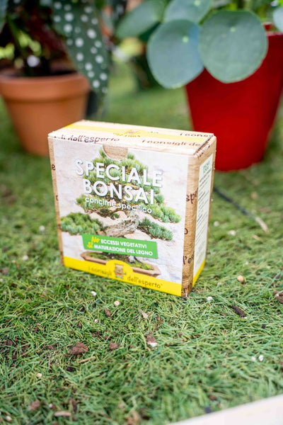 Speciale Bonsai - Concime minerale idrosolubile