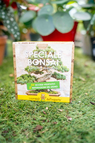 Speciale Bonsai - Concime minerale idrosolubile