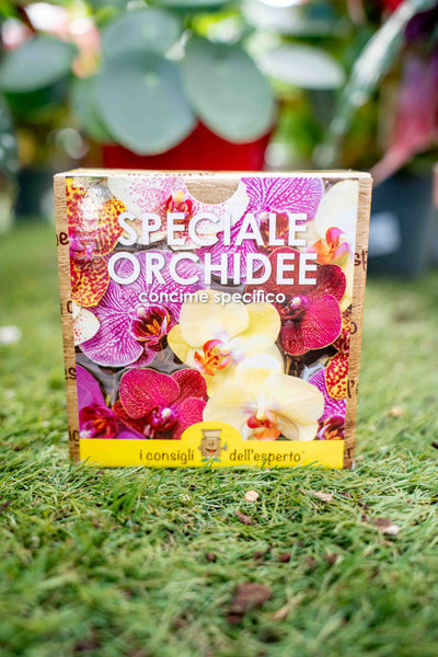 Speciale Orchidee - Concime minerale completo