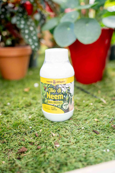 Olio di Neem 240ml