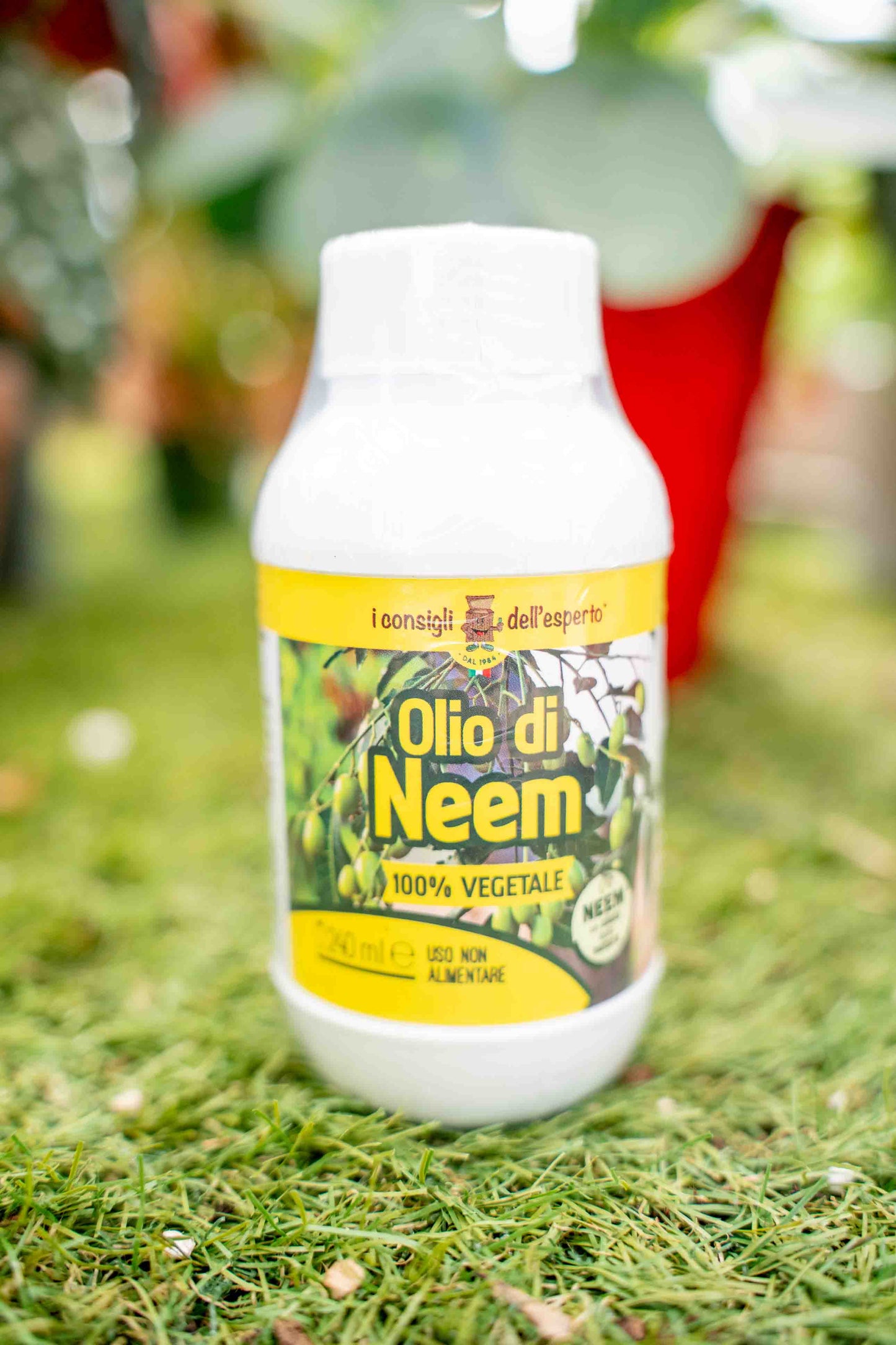 Olio di Neem 240ml
