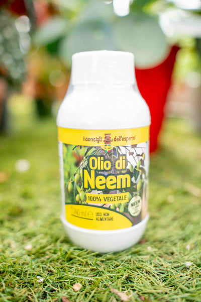 Olio di Neem 240ml
