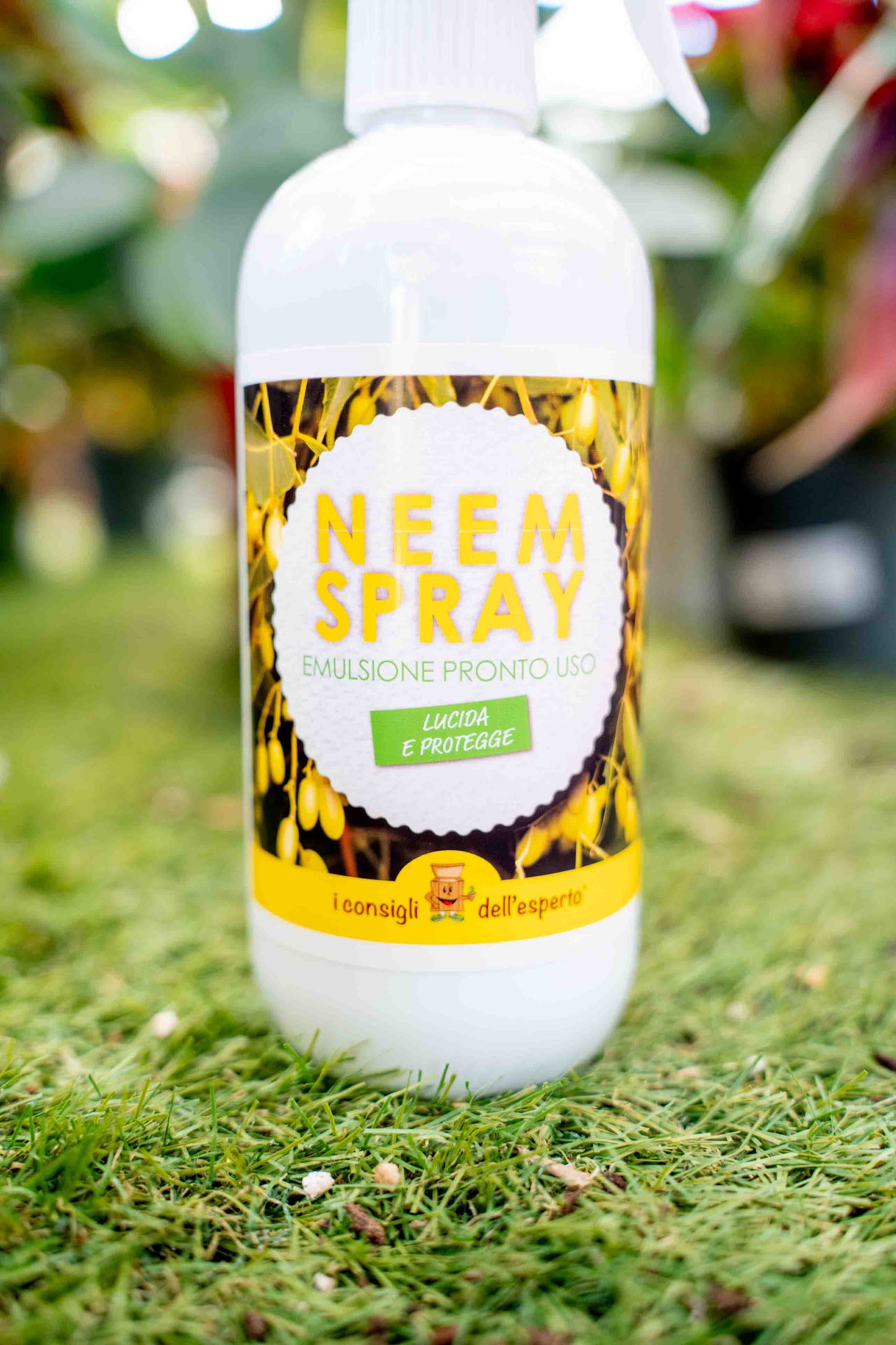 Olio di Neem Spray Pronto