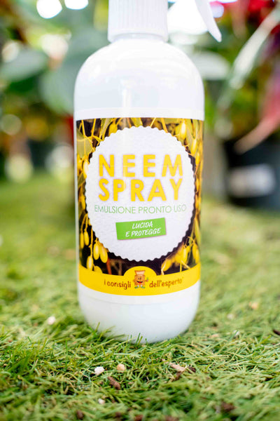 Olio di Neem Spray Pronto