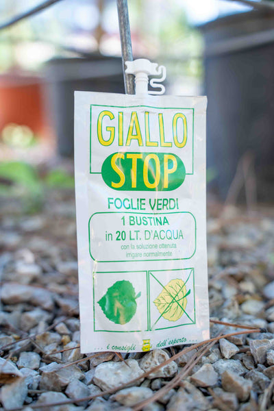 Concime Liquido Specifico Carenza Ferro