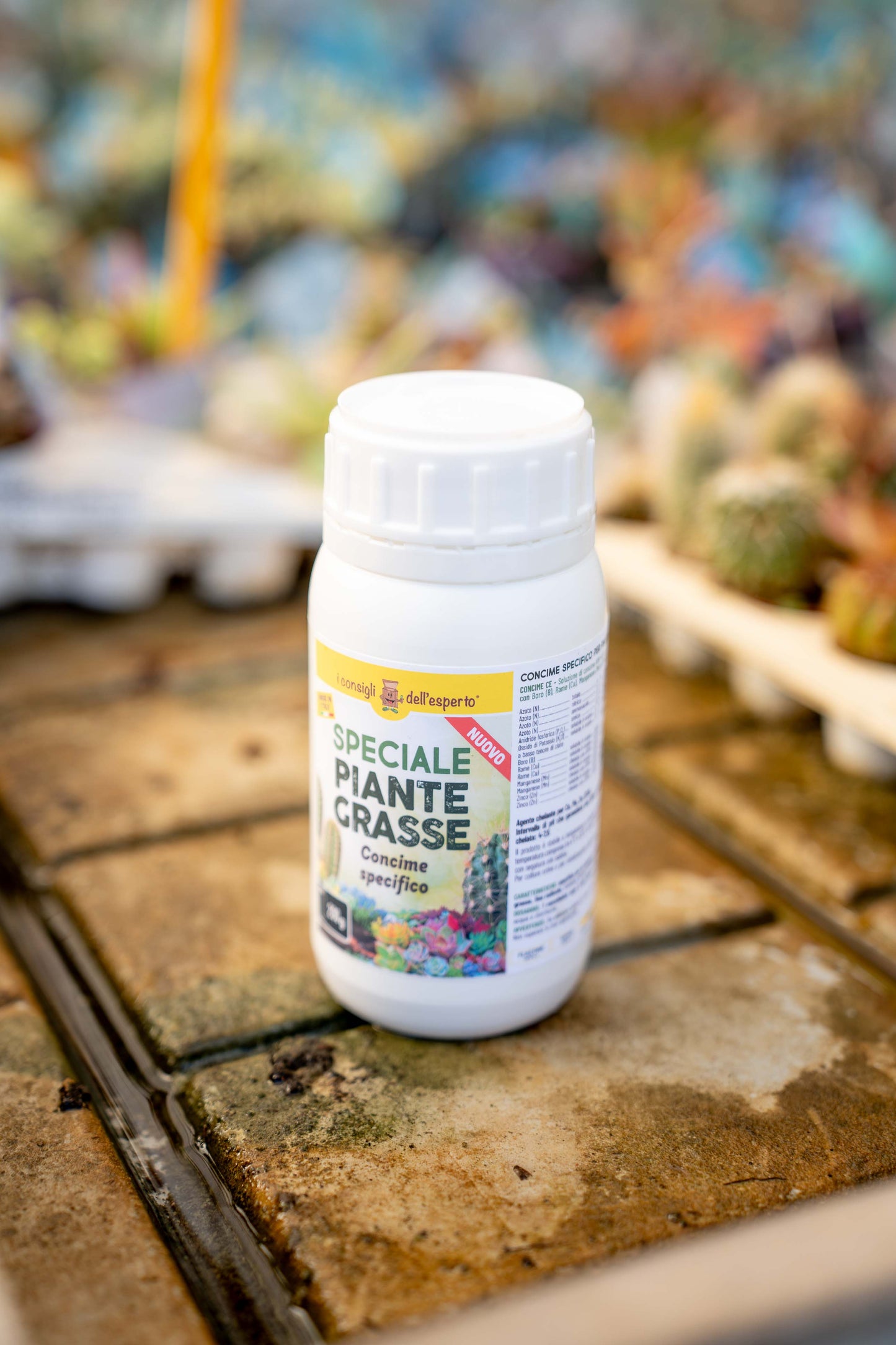 Speciale Piante Grasse - Concime