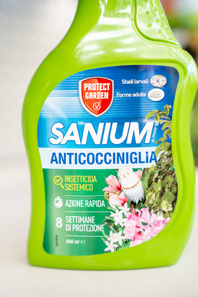 Insetticida Anticocciniglia Pronto All'Uso - Sanium
