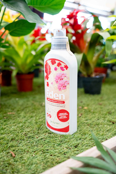 Concime Liquido Per Piante Da Fiore