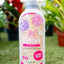 Concime Piante Acidofile