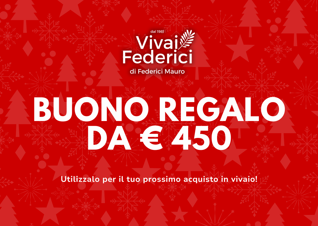 Buono Regalo Natale 2025