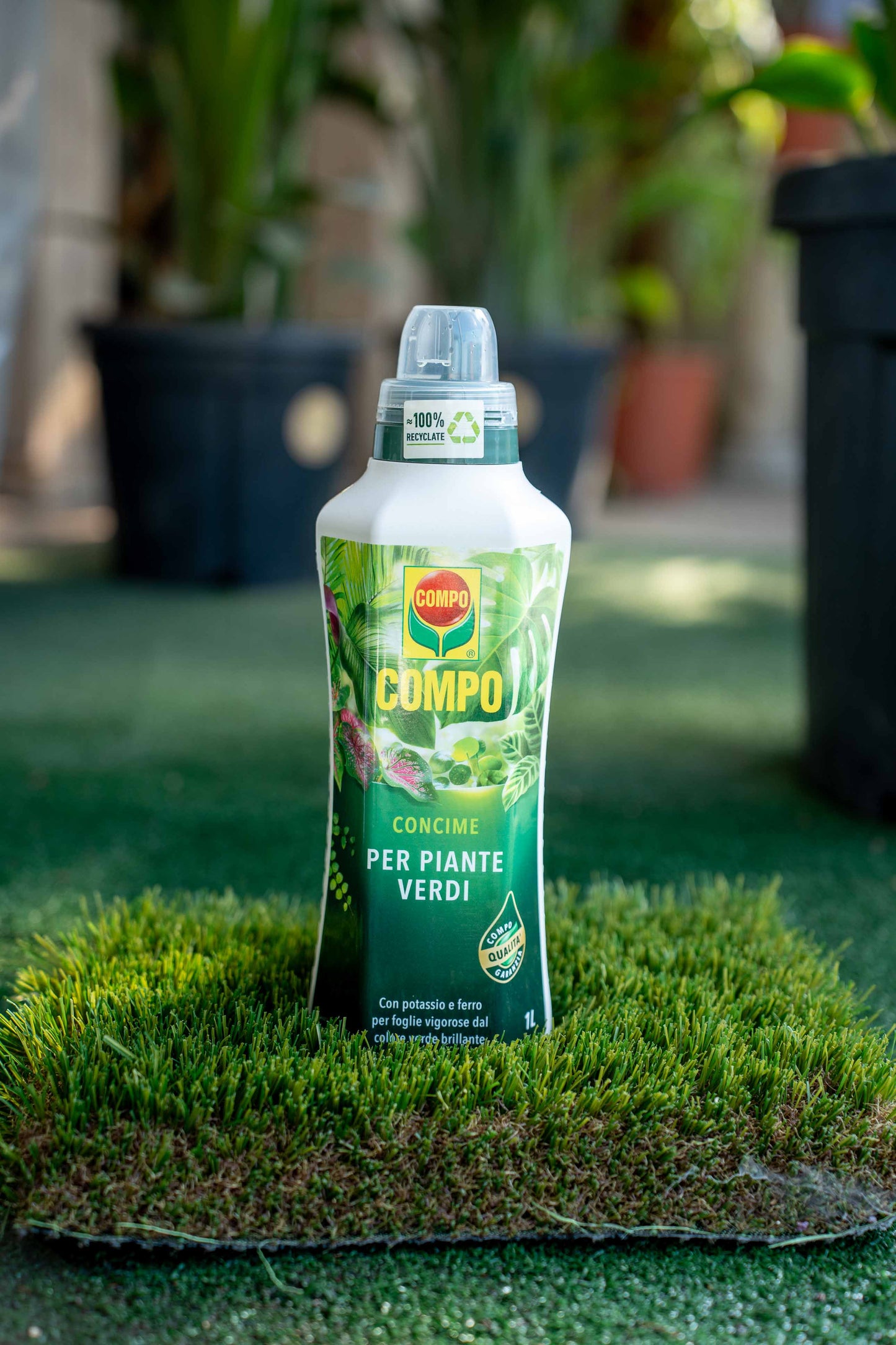 Concime Piante Verdi 1lt