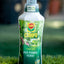 Concime Piante Verdi 1lt