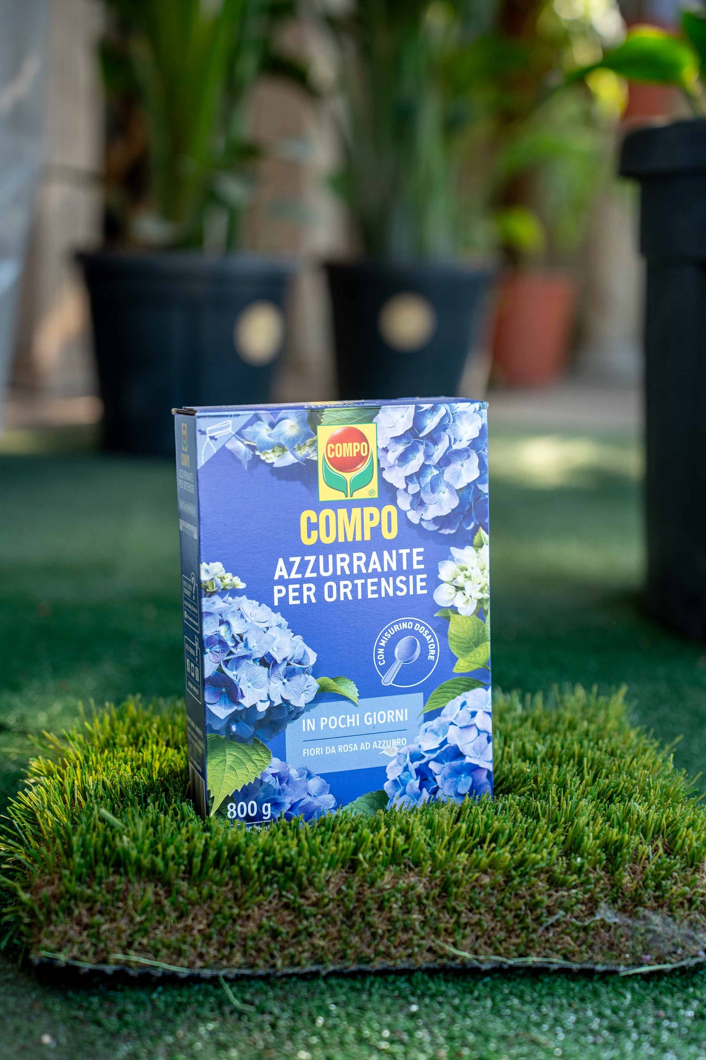 Azzurrante Ortensie 800 g