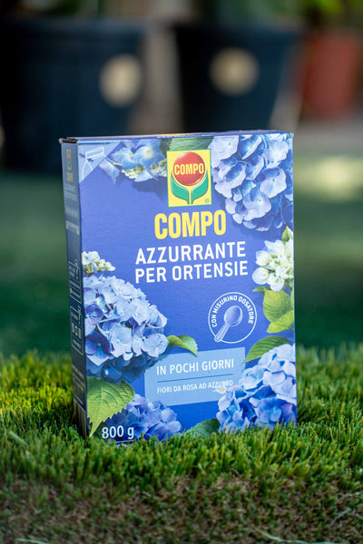 Azzurrante Ortensie 800 g
