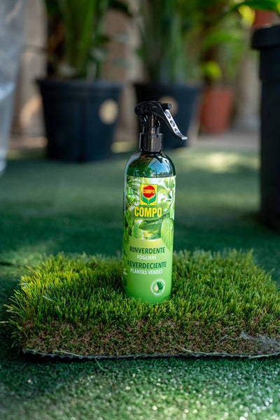 Rinverdente Fogliare 500 ml