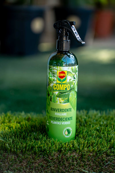 Rinverdente Fogliare 500 ml