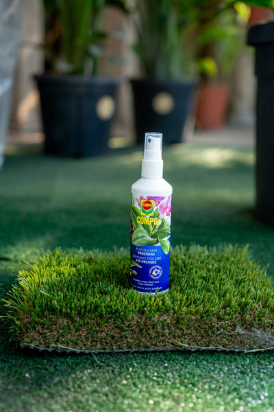 Idratante fogl. Orchidee 250 ml